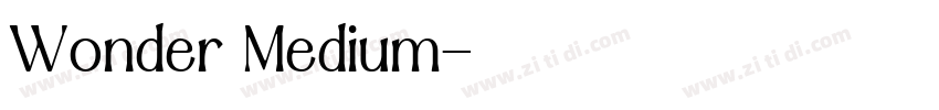 Wonder Medium字体转换
